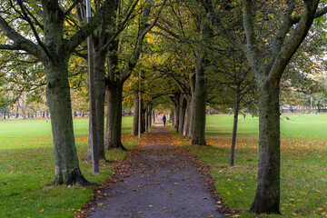 path in autumn park