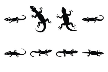 lizard crawling  minimal silhouette vector icon set. animal  icon set.