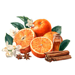 Citrus and Spice Still Life isolated on white background