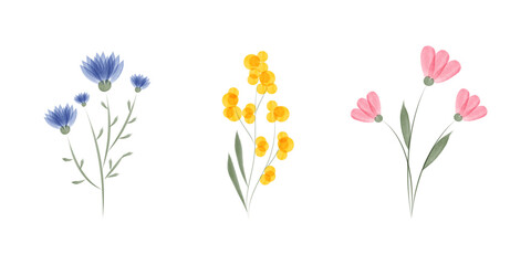 Watercolor artwork shows a set of three delicate floral arrangements. Flowers in blue, yellow and pink hues sit against a clean white backdrop.