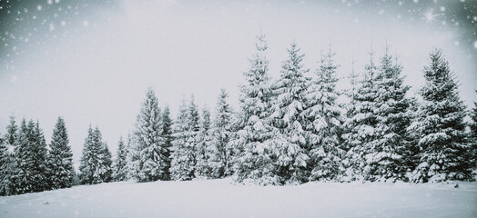 christmas background of snowy winter landscape