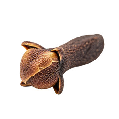 Close-up studio shot of a single, dried, brown clove
