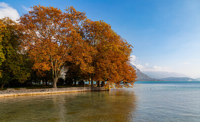 Obraz premium Couleurs d'Automne autour du Lac d'Annecy, Haute-Savoie, Frnce, Europe