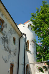 Fototapeta premium a shabby building and a green tree