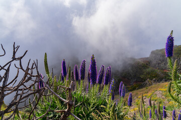 &bdquo;Wanderer im Morgennebel beim Sonnenaufgang &ndash; stimmungsvolle Berglandschaft