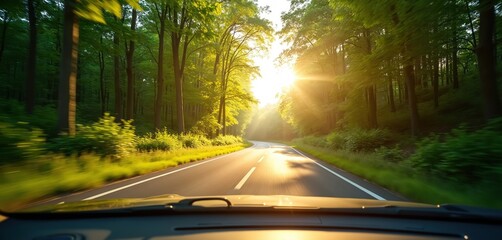 View from car driving along road through green forest. Bright sunlight shines down creating warm atmosphere. Road trip adventure in nature. Scenic drive through trees on summer day.
