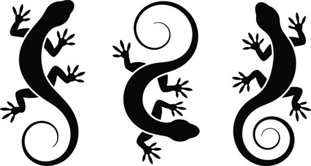 Fototapeta premium Three black lizards in silhouette illustration with curled tails pattern
