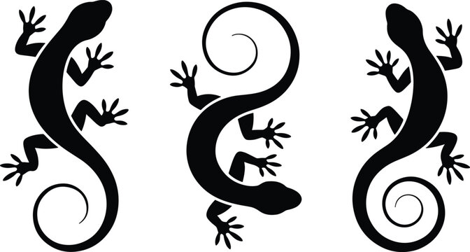Three black lizards in silhouette illustration with curled tails pattern