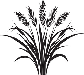 Black silhouette of tall wild grass and wheat plants on white background