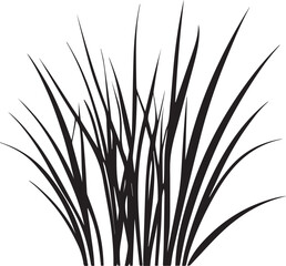 Black silhouette of tall wild grass and wheat plants on white background