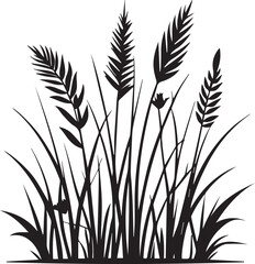 Black silhouette of tall wild grass and wheat plants on white background
