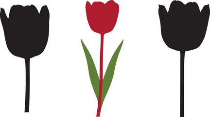 Red tulip between black tulip silhouettes flower