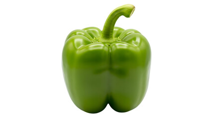 A single vibrant green bell pepper isolated on a stark black background