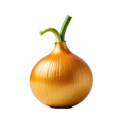 Close-up of a brown onion bulb with green sprout against a black background