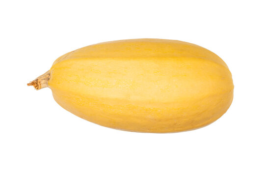 Isolated Spaghetti Squash Against Transparent  Background for Healthy Cooking