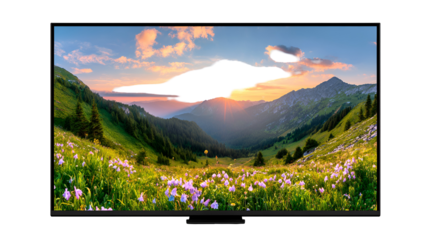 Silhouette of a bird flying over a mountain valley at sunset