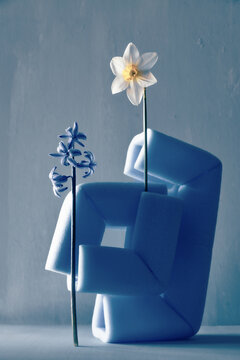 narcisse et jacinthe  , vase design , modernit&eacute; , polystyrene , 