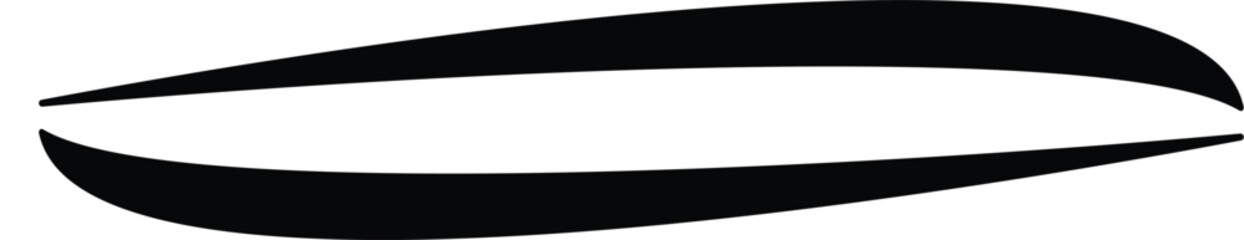 Wing Profile in Silhouette: A sleek, dynamic wing silhouette, showcasing the streamlined form and curvature essential for flight.