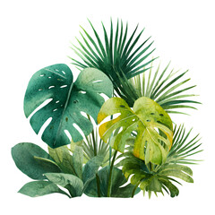 Tropical foliage arrangement isolated on transparent background