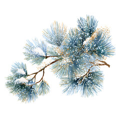 Snowy pine branch isolated on black isolated on transparent background