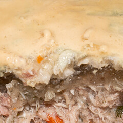 Russian homemade meat jelly.Hearty cold jelly.Meat aspic.Meat base in jelly.Meat snack in the form of jelly.