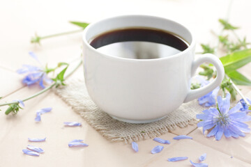 Chicory healthy drink in a glass cup with flowers, closeup, natural medicine and naturopathy concept
