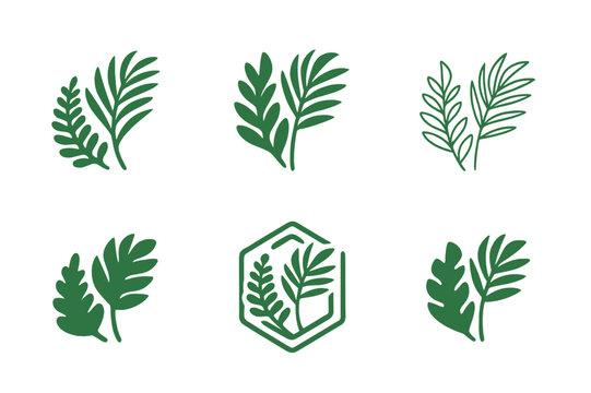 Tropical Logo Variations. Tropical rainforest. Set Logo of Tropical rainforest: palm frond and fern pair. harmonious logo variations of the same emblematic