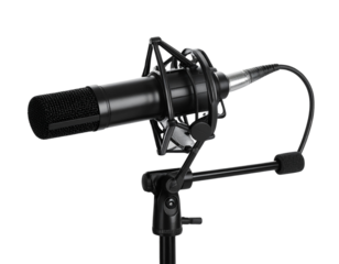 Condenser Microphone Pro Studio Recording, Ring Light, and Shock Mount Kit