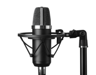 Close-up of Black Condenser Microphone with Shock Mount for Professional Voice Recording