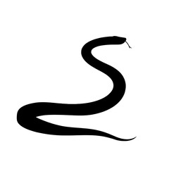 black snake vector illustration