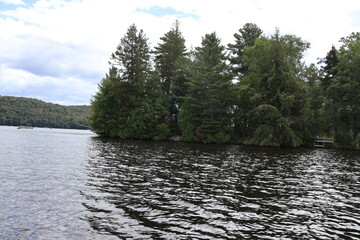 A view of a dense forest tree line from a lake in the Adirondacks.
