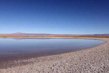 View of Cejar Lagoon, Chile