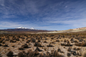 Las Vicunas Nature Reserve, panoramic view of Guallatiri Volcano, Chile