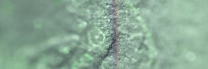 Abstract close-up of liquid splash on green surface with textured details.