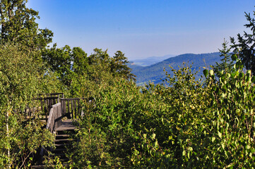 Okole - Góry Kaczawskie. Platforma widokowa na szczycie góry. Drewniany taras widokowy otoczony zielonym lasem z panoramą gór pod czystym, błękitnym niebem. © Pol Badger