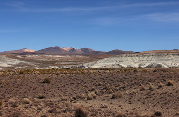 The stunning panorama of Las Vicunas Natural Reserve, Chile