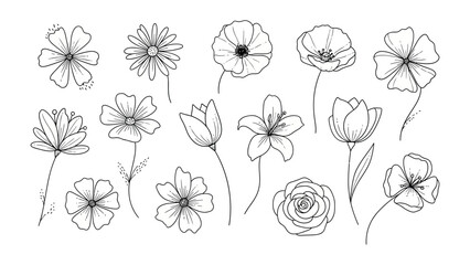Floral Diversity: An artistic composition showcases a variety of delicate floral designs. Detailed outlines highlight the intricate petals and elegant stems of each bloom. 