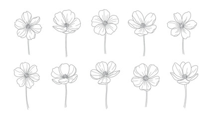 Floral Array: A curated assortment of delicate, hand-drawn flower illustrations. Their elegant, simple lines enhance the exquisite details of each bloom. 