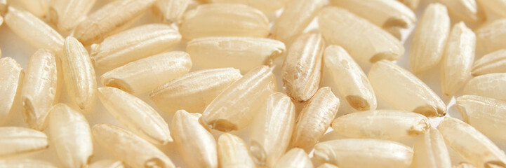 Close-up image of uncooked white rice grains showing texture and detail for culinary and ingredient uses.