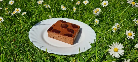 Homemade cake