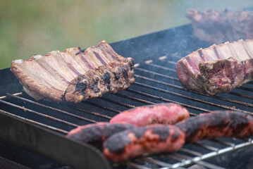 The beautiful and appetizing process of grilling meat over fire A Feast for the Senses