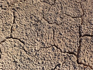 cracked earth texture