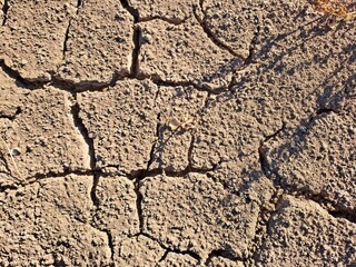 cracked earth texture