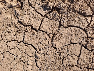 dry cracked earth