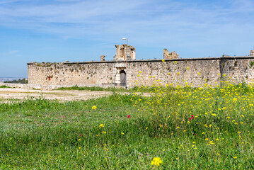 The medieval stone wall and entrance of the weathered Castillo de los Condes in Chinchón, Spain, framed by a lively field of yellow wildflowers and surrounded by a dirt road
