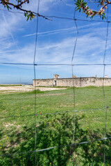 The medieval stone wall and entrance of the weathered Castillo de los Condes in Chinchón, Spain, framed by a lively field of yellow wildflowers and surrounded by a dirt road