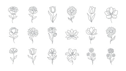 Floral Elegance: A delicate collection of elegant floral line drawings. Each bloom, meticulously sketched, captures the refined simplicity of various botanical treasures.