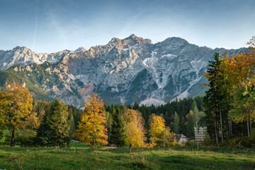 Autumn trees in front of majestic mountains under a clear sky.