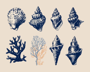 Desenho intrincado de conchas marinhas e corais, ilustrando a beleza natural dos oceanos e a diversidade da vida marinha.