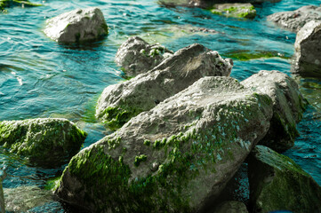 Close-up view of coastal stones covered with seaweed as sea waves create splashes around them.